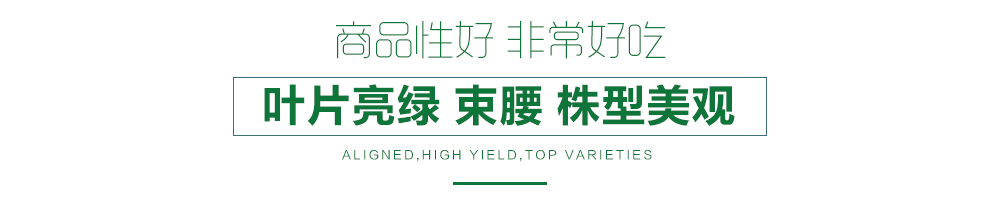 1557817752859151.jpg 詳情頁12.jpg