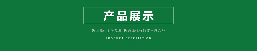 1557910732249588.jpg 00新產(chǎn)品.jpg