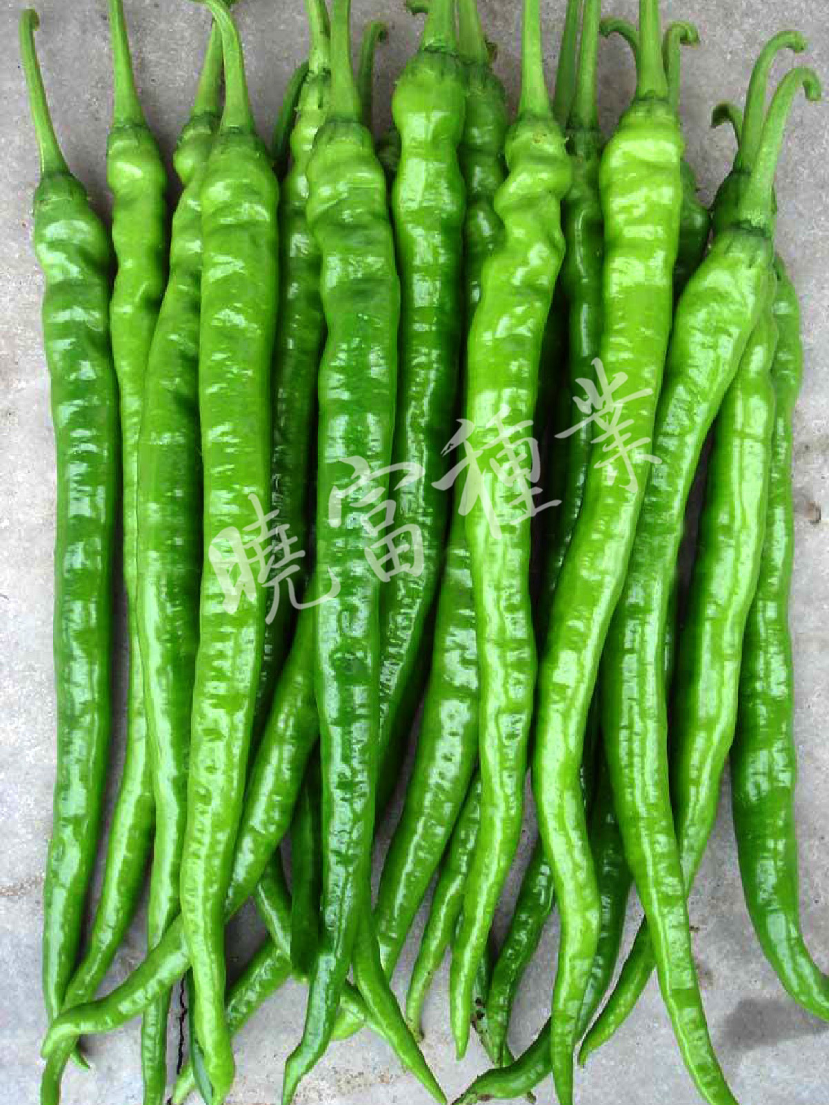 1585790929490323.jpg 02.jpg