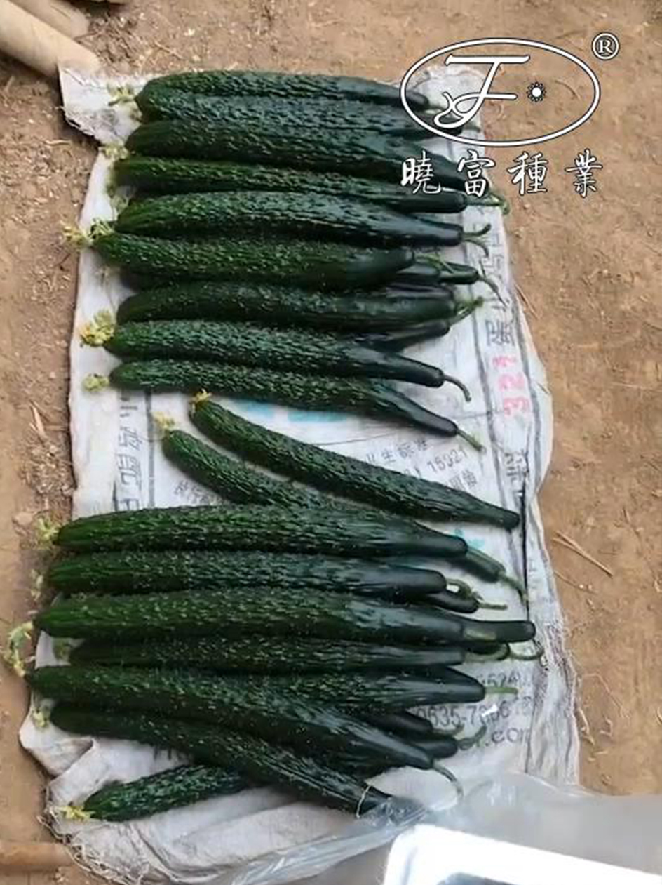 1585990060209622.jpg 02.jpg