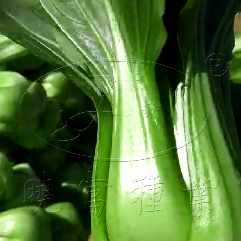 1602151224105289.jpg 08.jpg