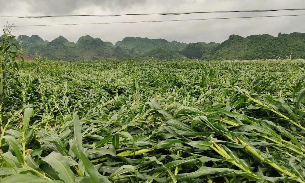 1608454863118250.jpg 微信圖片_20201220165638.jpg